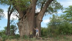 LGBT Africa Travel - Exploring Botswana